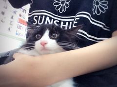 -宠颐生中康贝怡动物医院