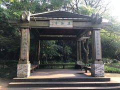 -吴淞炮台湾湿地森林公园烧烤区