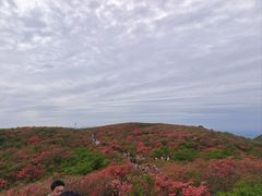 -大围山国家森林公园