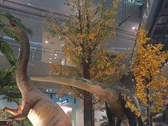 -湖南省地质博物馆