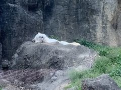 -杭州野生动物世界