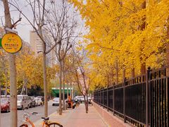 -西安高新医院