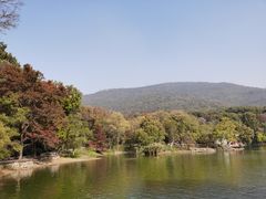 -紫霞湖公园