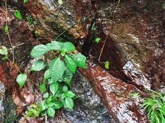 -宁波五龙潭景区