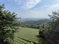 -敬亭山风景名胜区