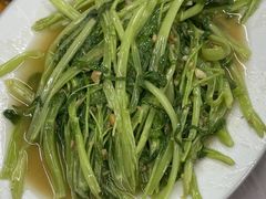 通菜-老三鱼仔店