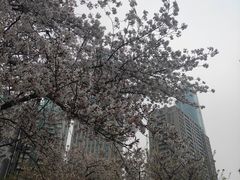 -西北湖绿化广场