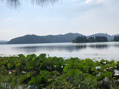 -东湖落雁景区