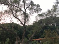 -四海公园(南山区)