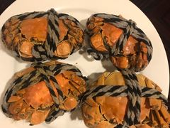 阳澄湖大闸蟹-浦东绿地铂骊酒店-POYA西餐厅(绿地东海岸国际广场店)