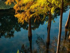 -麓湖高尔夫球俱乐部