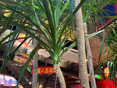 -五马集·海鲜·温州大牌档(黑金冠五马街十字路口店)
