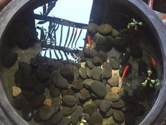 -金谷里艺术馆