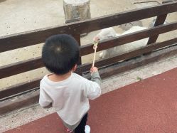 -造物庄园 萌宠纪(苏州湾歌林公园店)