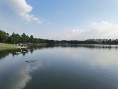 -美兰湖景区