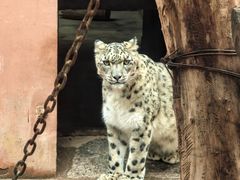 -青藏高原野生动物园