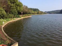 -南国桃园旅游度假区