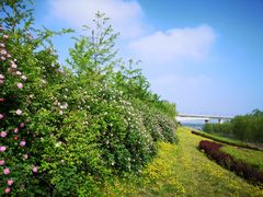 -永定河休闲森林公园