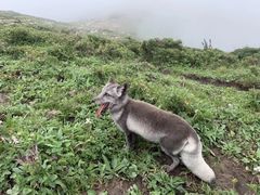 -灵山