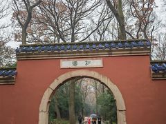 -灵谷景区