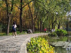 -洛阳市隋唐城遗址植物园