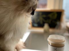 -灯塔咖啡馆BOOK·Coffee Shop