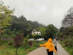 -终南山国家森林公园