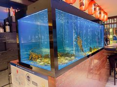 -西村日本料理(香格里拉饭店)