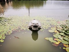 -昆山城市生态森林公园