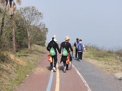 -合肥滨湖国家森林公园