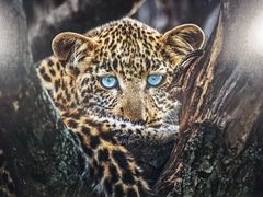 -罗红摄影艺术馆