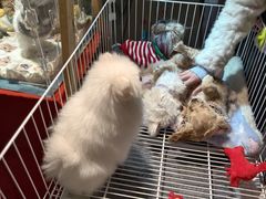 -汇德隆银隆