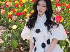 -洛阳郁金香牡丹园