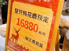 -小隐院子·庭院餐厅(大学城后湖店)