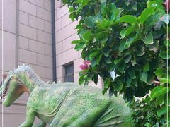 -国家自然博物馆