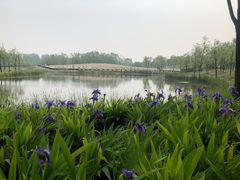 -东郊湿地公园
