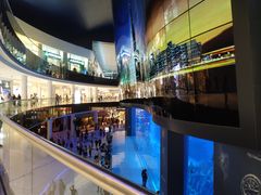 -迪拜水族馆及水下动物园