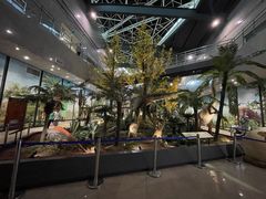 -湖南省地质博物馆