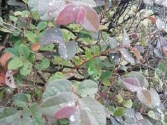 -艾溪湖湿地公园