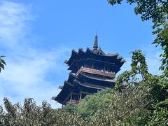 -杭州半山国家森林公园