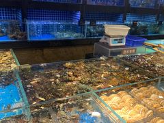 水产区-徐记海鲜(大明宫|北二环店)