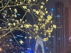 -中央公园(苏州工业园区)