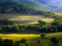 -塞罕坝国家级自然保护区