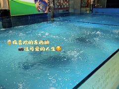 -披云徽府(繁华大道店)