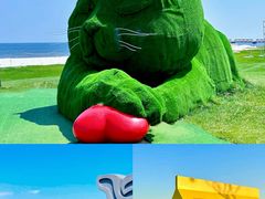 -北戴河碧螺塔海上酒吧公园