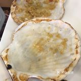 烧烤里的扛把子