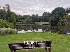-墨尔本皇家植物园