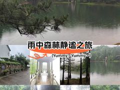 -四明山国家森林公园