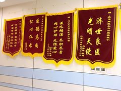 -中农国际动物医院24小时·猫科·骨科·急重症中心