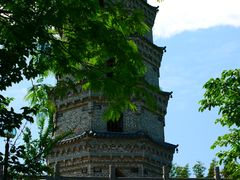 -祥源·阜阳生态乐园